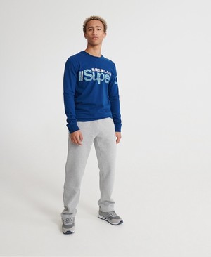 Superdry Core Logo Sport Stripe Férfi Sportruházat Szürke | EVSDZ2873